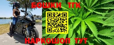 гашик Абинск