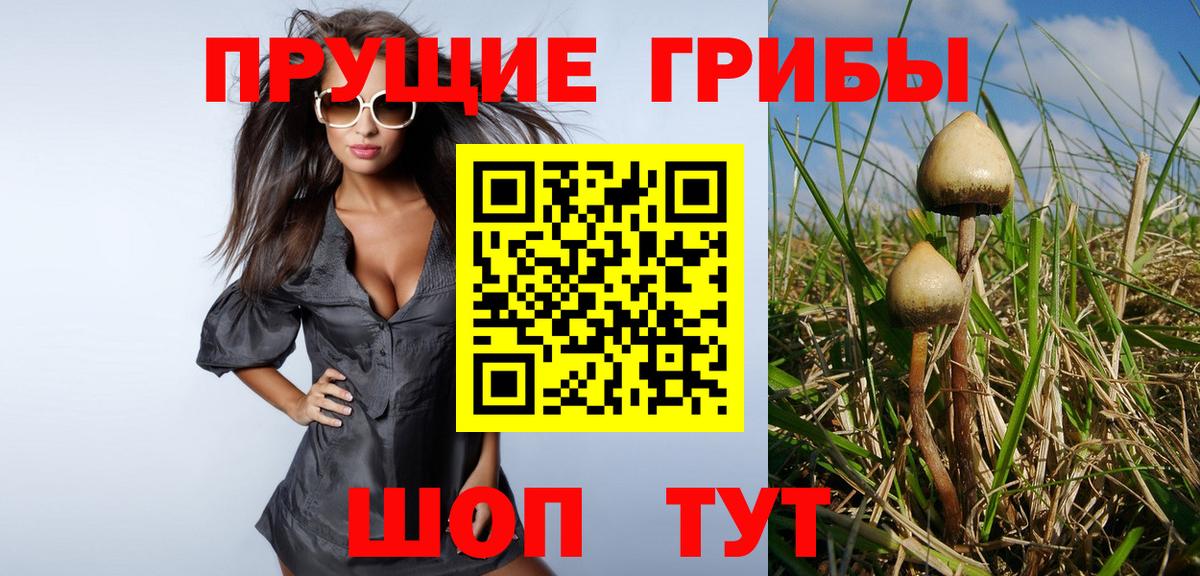 Абинск  Галлюциногенные грибы Cubensis  Вход с VPN 